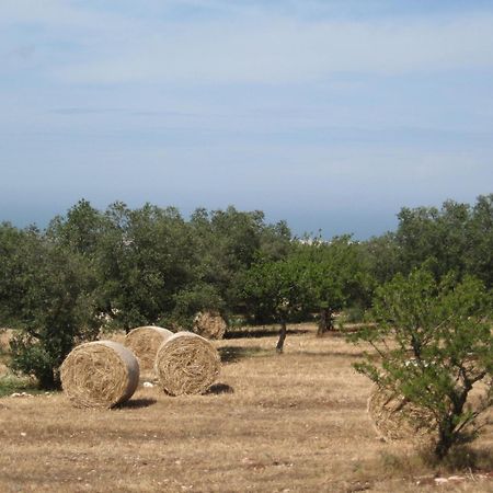 מונופולי B&B Cinque Stalle מראה חיצוני תמונה