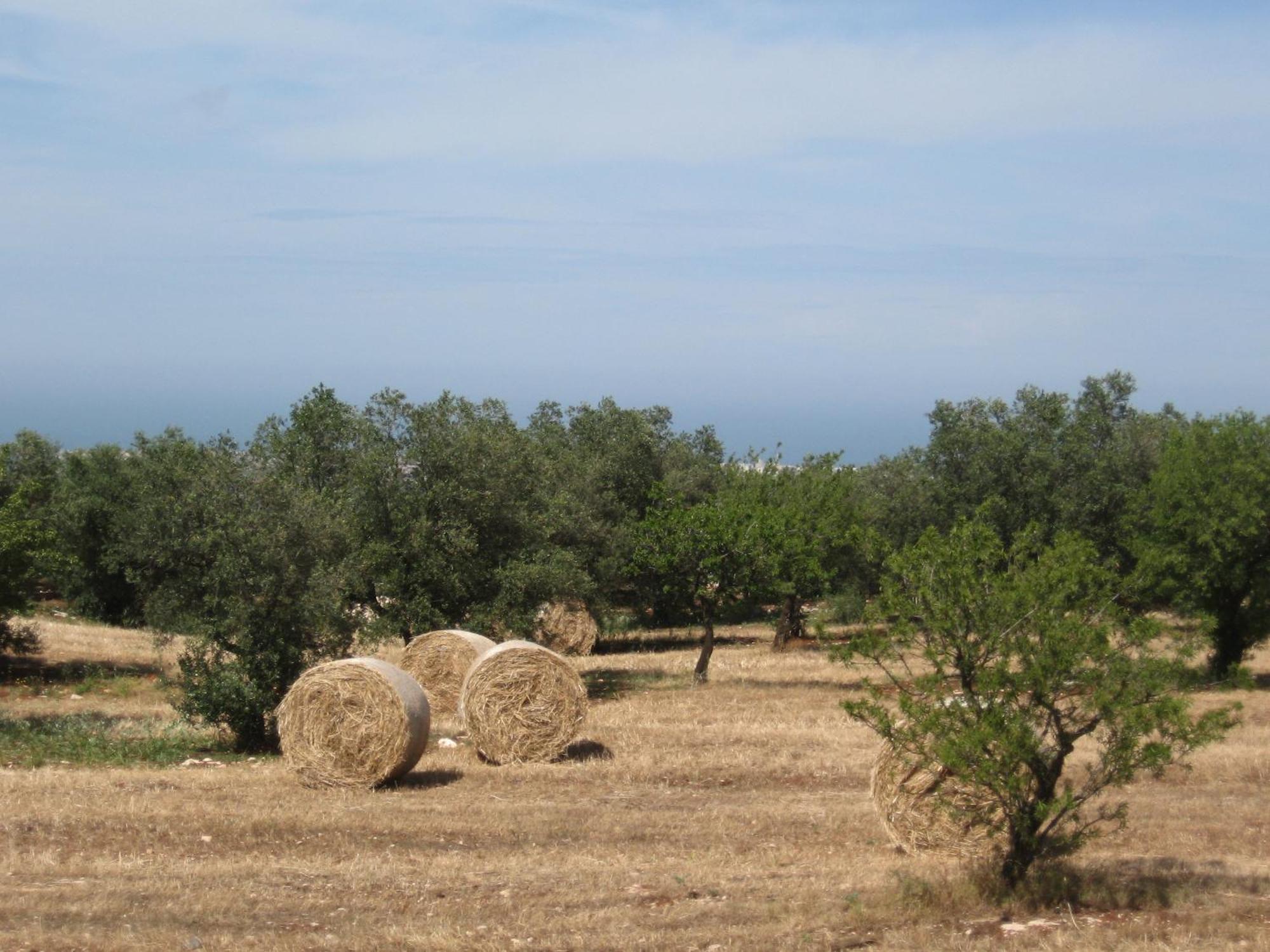 מונופולי B&B Cinque Stalle מראה חיצוני תמונה